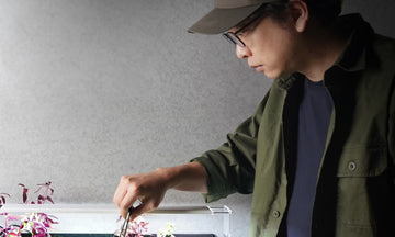 Looking for aquarium specialists?