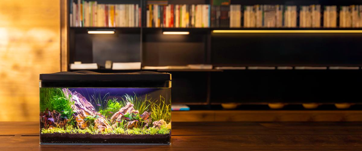 slider image slider_item_nLGCc9