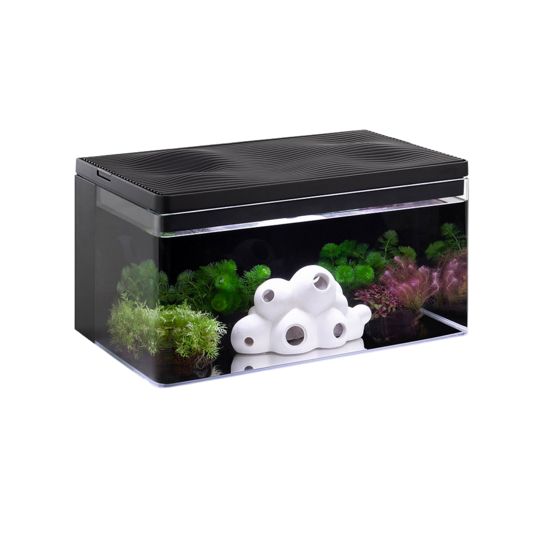 Harmony Premium All-in-One Aquatic Tank